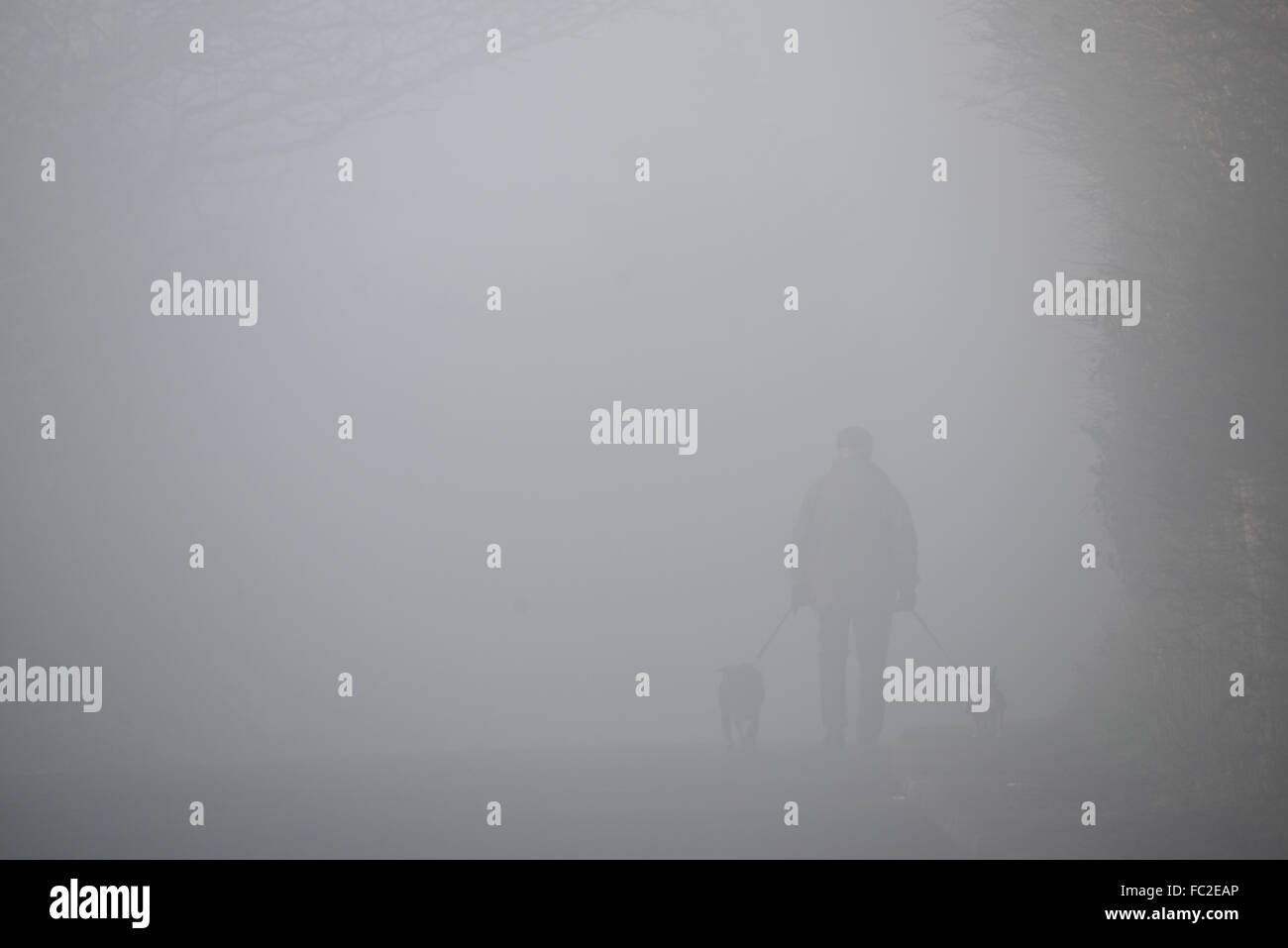 Un uomo a piedi i suoi cani in una fitta nebbia. Foto Stock