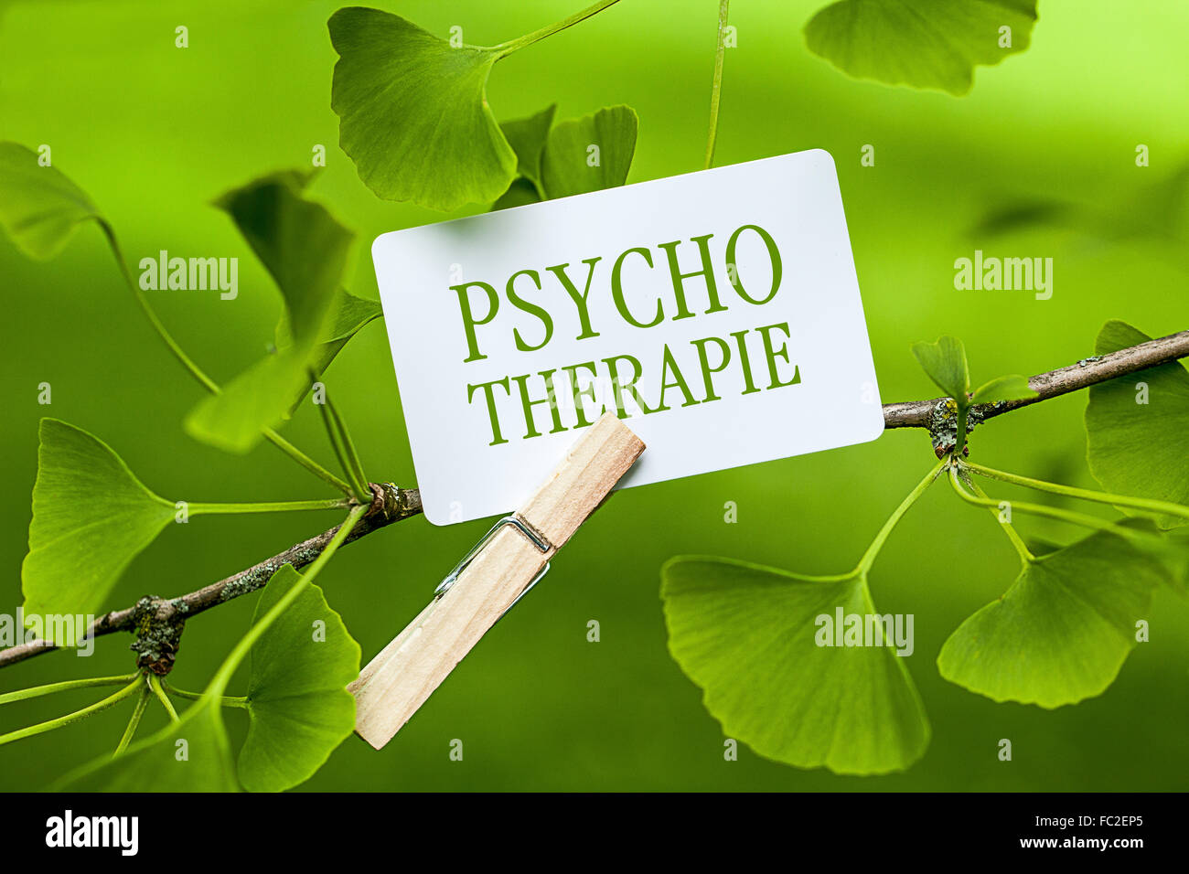 La parola "Psychotherapie in una struttura ad albero di gingko Foto Stock