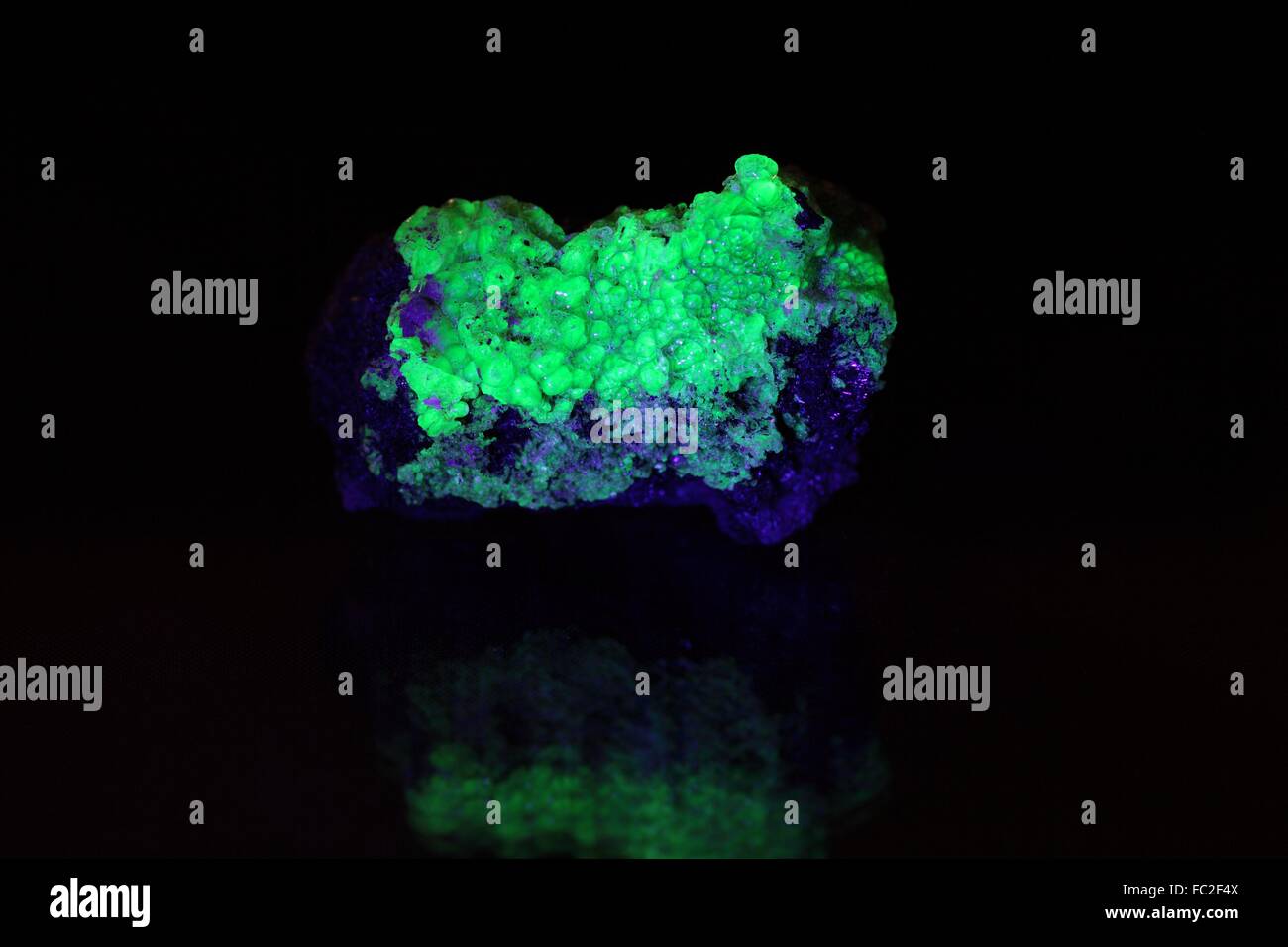 Tantalite fluorescente minerali provenienti dalla Namibia. Foto Stock