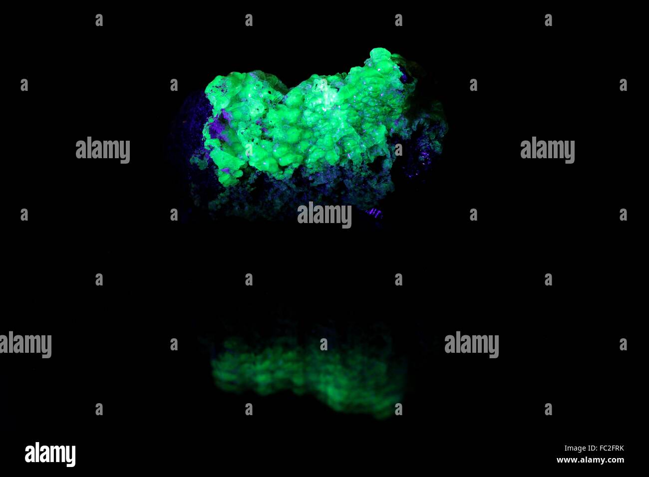 Tantalite fluorescente minerali provenienti dalla Namibia. Foto Stock