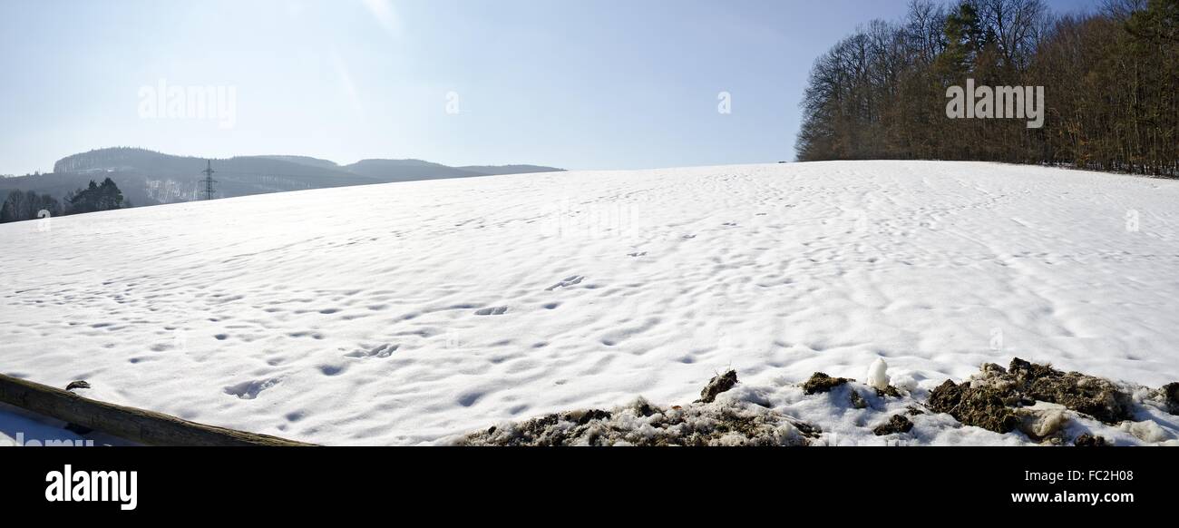 Neve di primavera su un pascolo Foto Stock