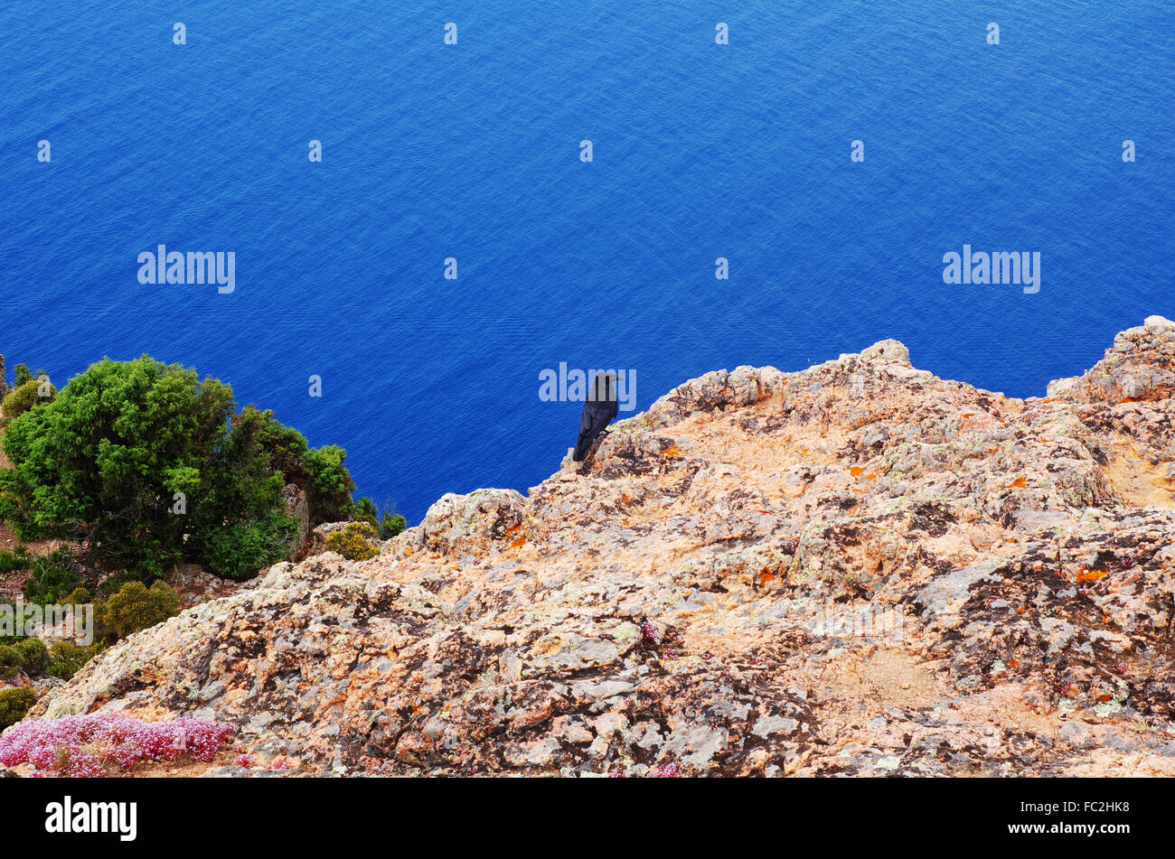 Raven sul Capu Rossu - Corsica Foto Stock