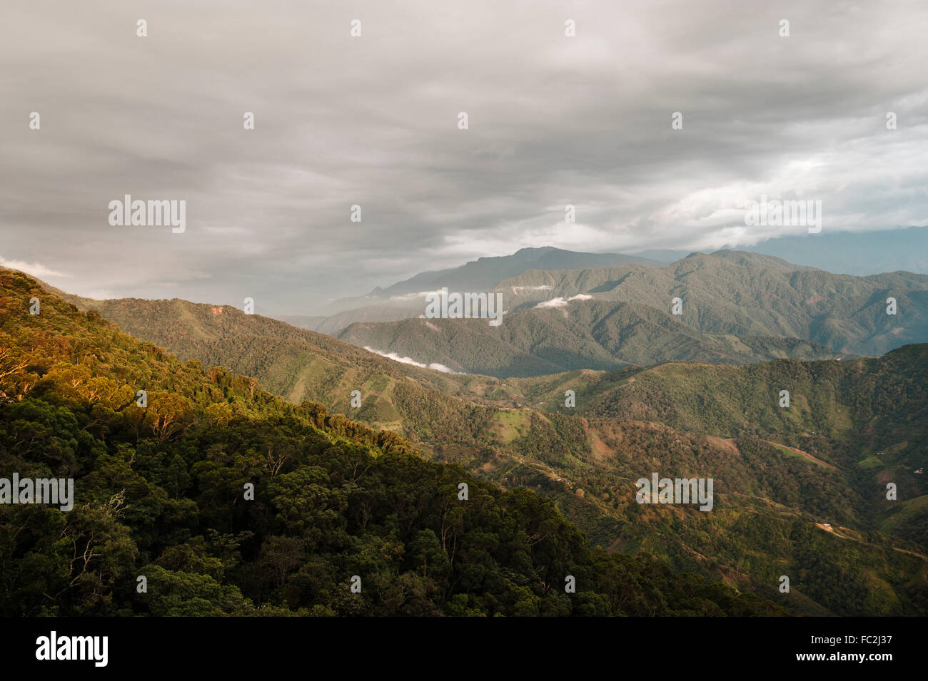 La foresta pluviale in Sierra Nevada de Santa Marta Foto Stock