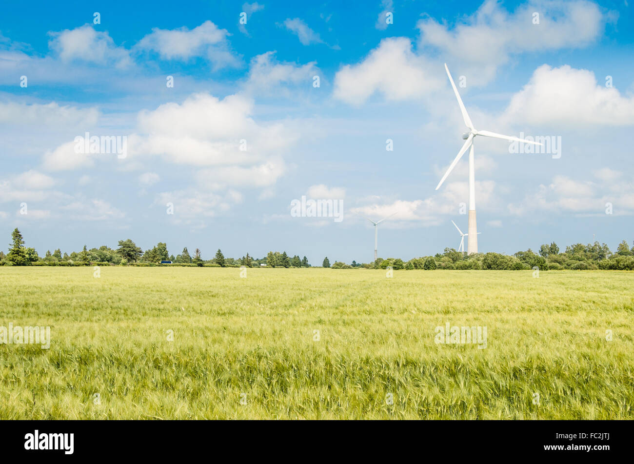 Paesaggio estivo con generatori di vento Foto Stock