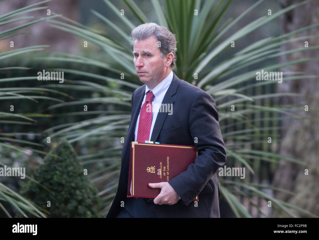 Oliver Letwin,il Ministro di Stato per la politica del governo,arriva al numero 10 di Downing Street per una riunione del gabinetto Foto Stock