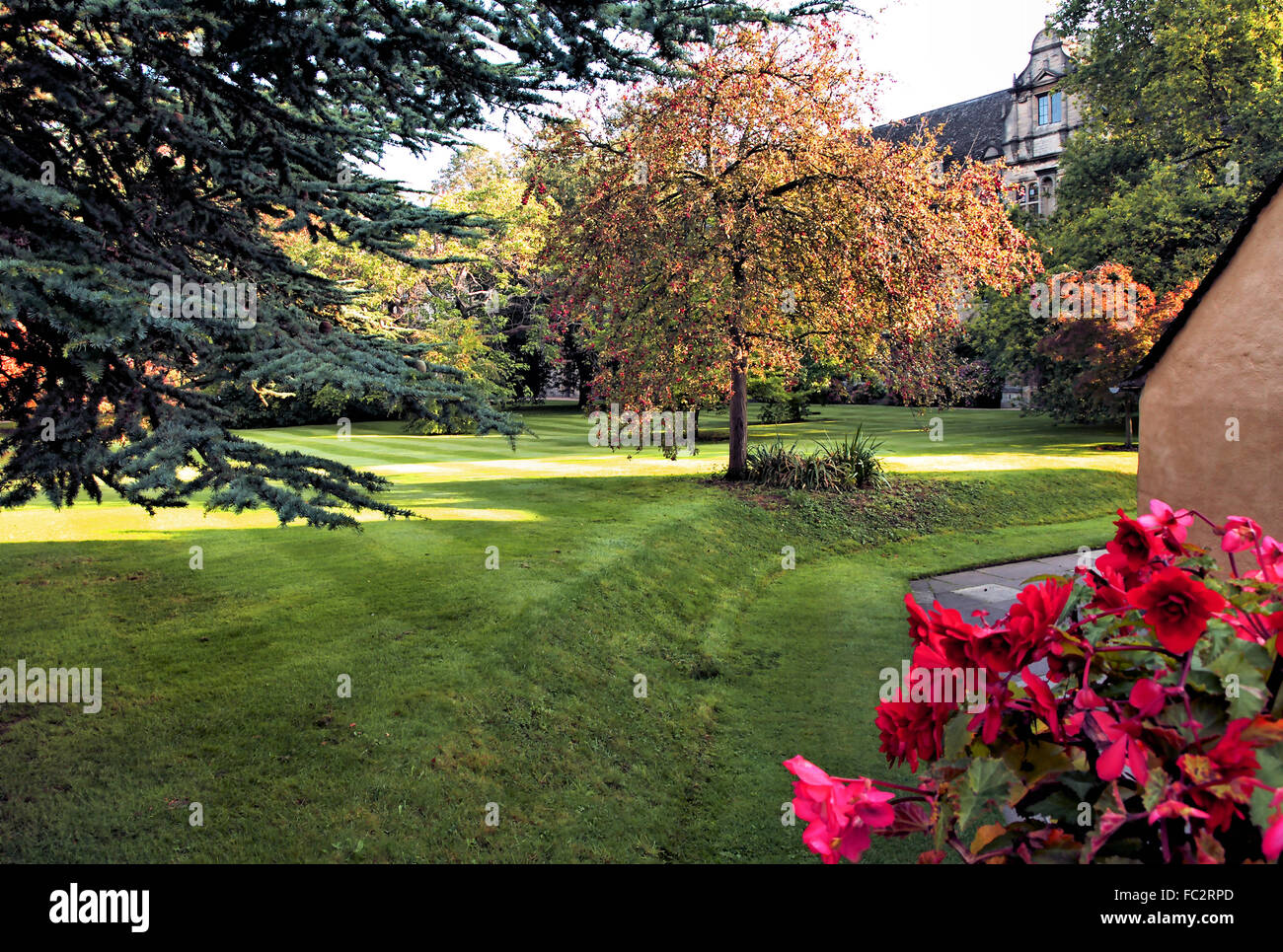 Università di Oxford Foto Stock