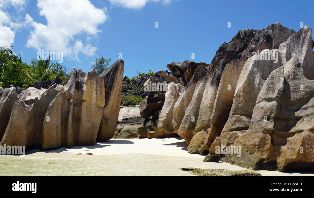 Isola di Curieuse Foto Stock