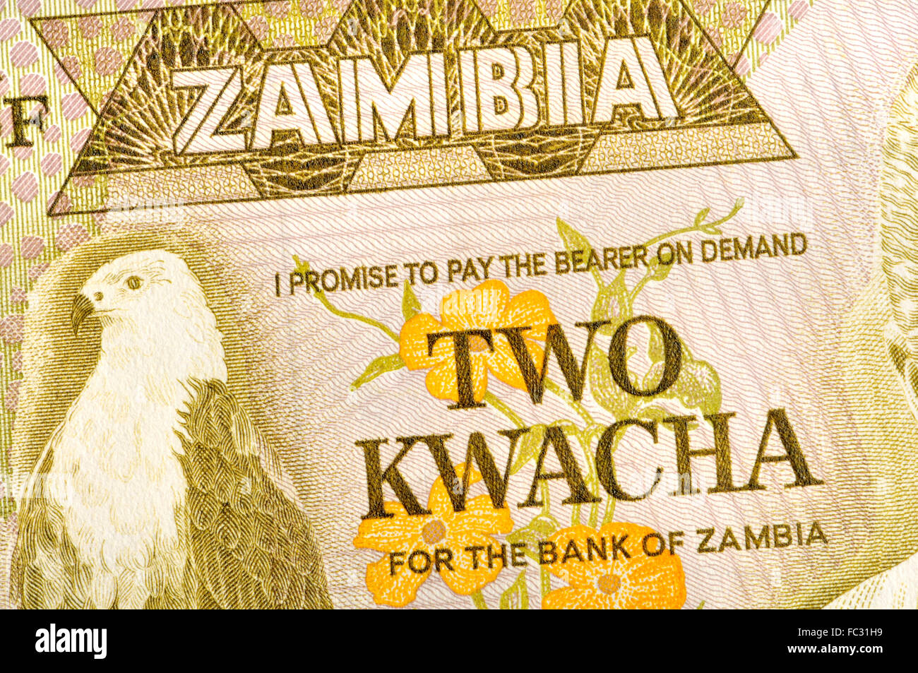Due dello Zambia Kwacha banconota di 1987 - dettaglio mostrante un pesce eagle Foto Stock