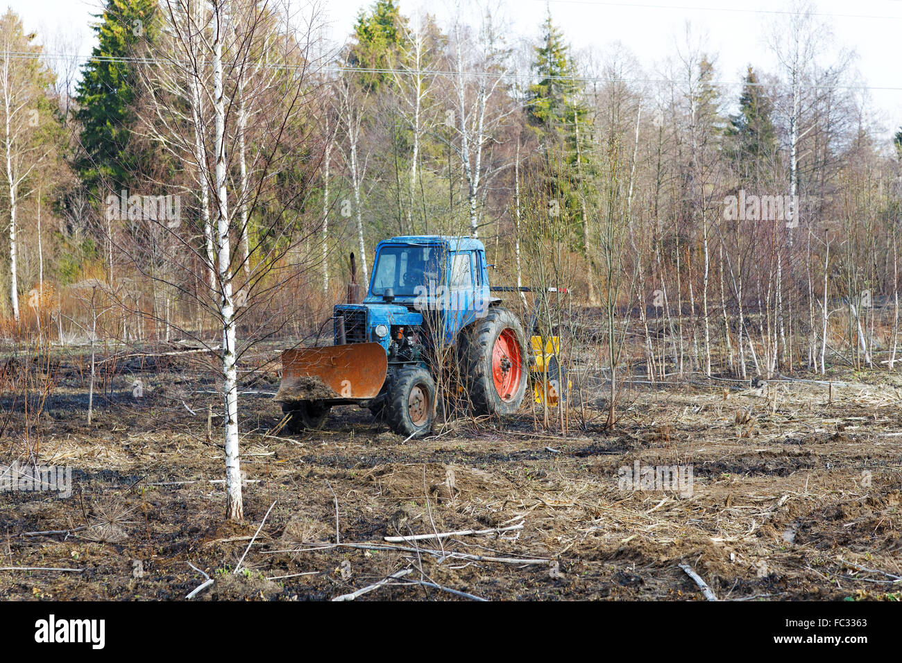 Il trattore lavorano la terra tra gli alberi Foto Stock