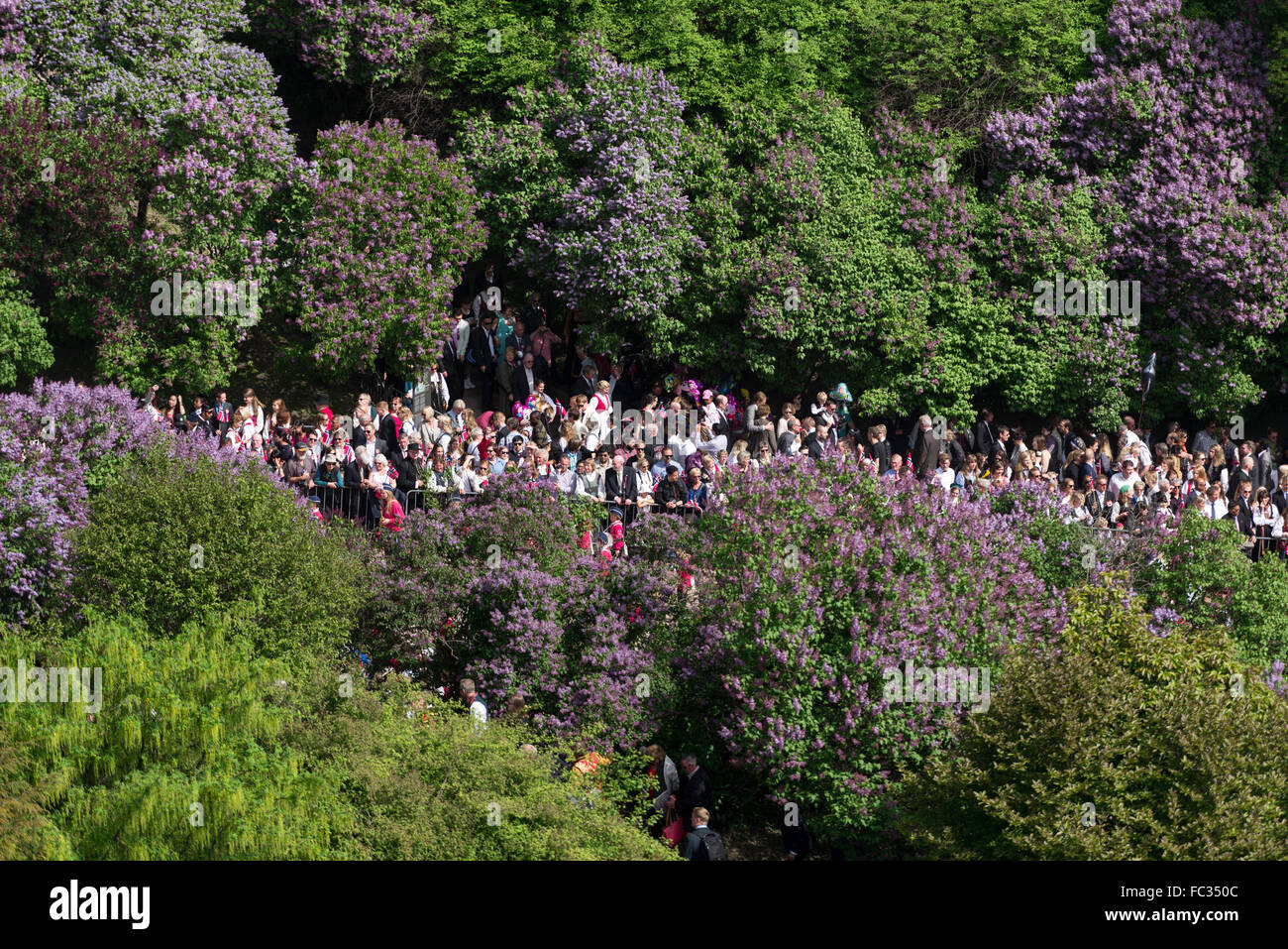 Costituzione norvegese giorno affollano in posizione di parcheggio Foto Stock