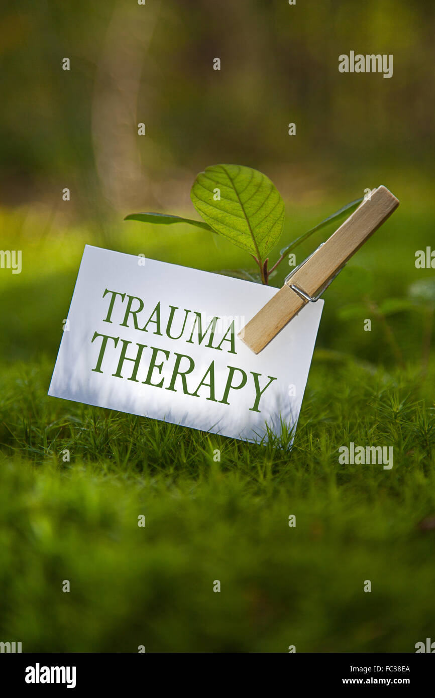La parola "trauma alla terapia con una piantina Foto Stock