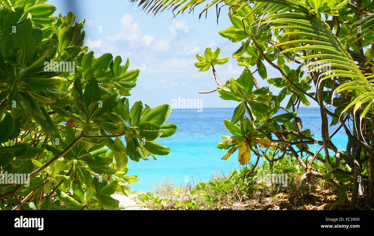 Spiaggia tropicale sulle Seychelles Foto Stock