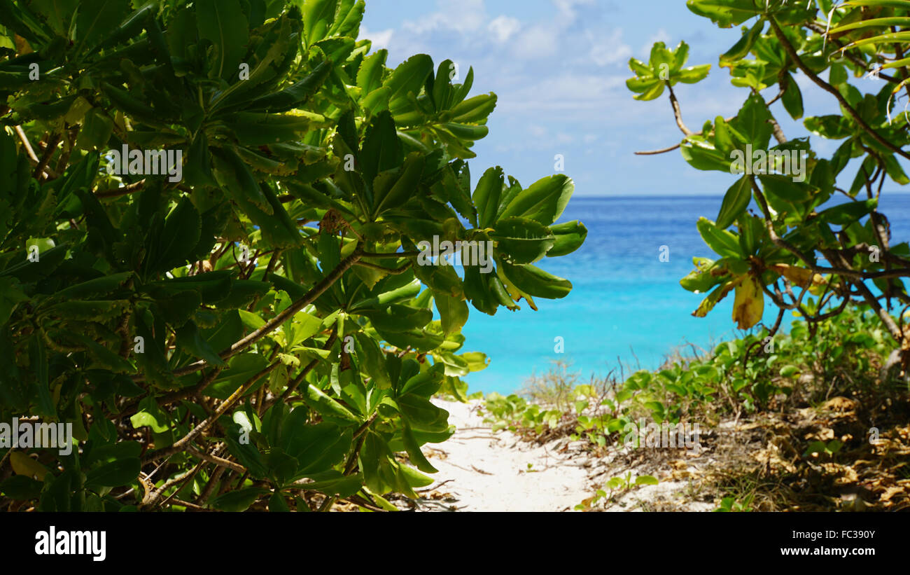Spiaggia tropicale sulle Seychelles Foto Stock