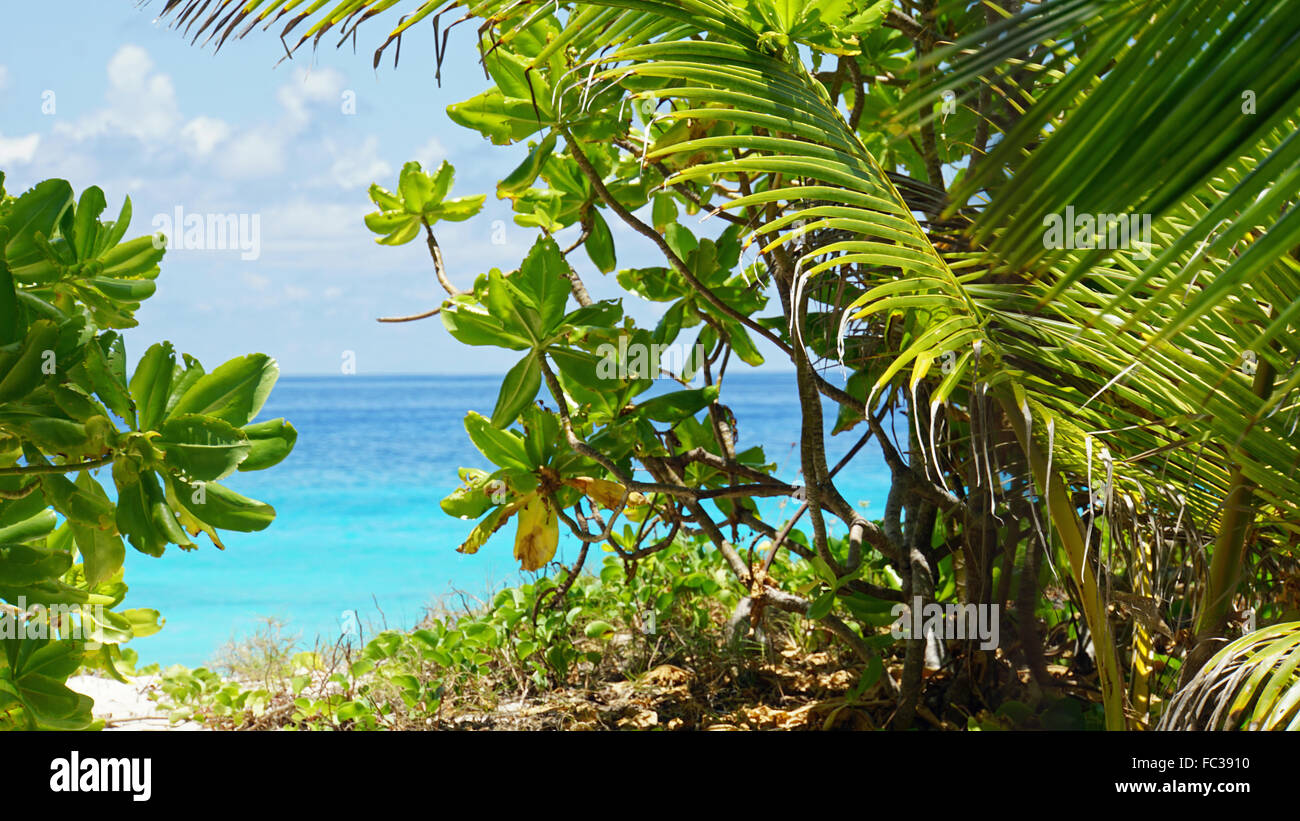 Spiaggia tropicale sulle Seychelles Foto Stock
