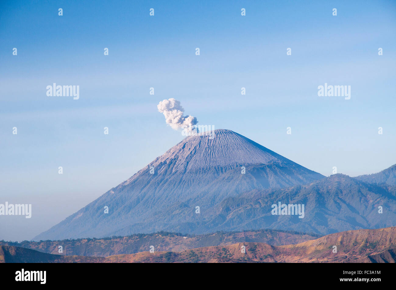 Vista la mattina del monte Semeru, East Java in Tengger Semeru National Park, Indonesia. Foto Stock