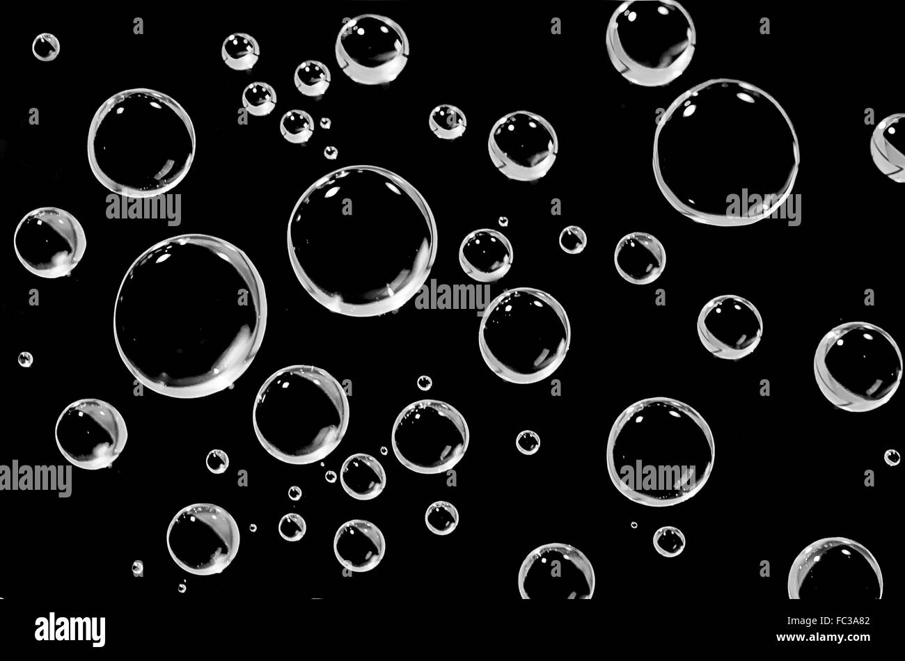 Le goccioline di acqua su uno sfondo nero. Foto Stock