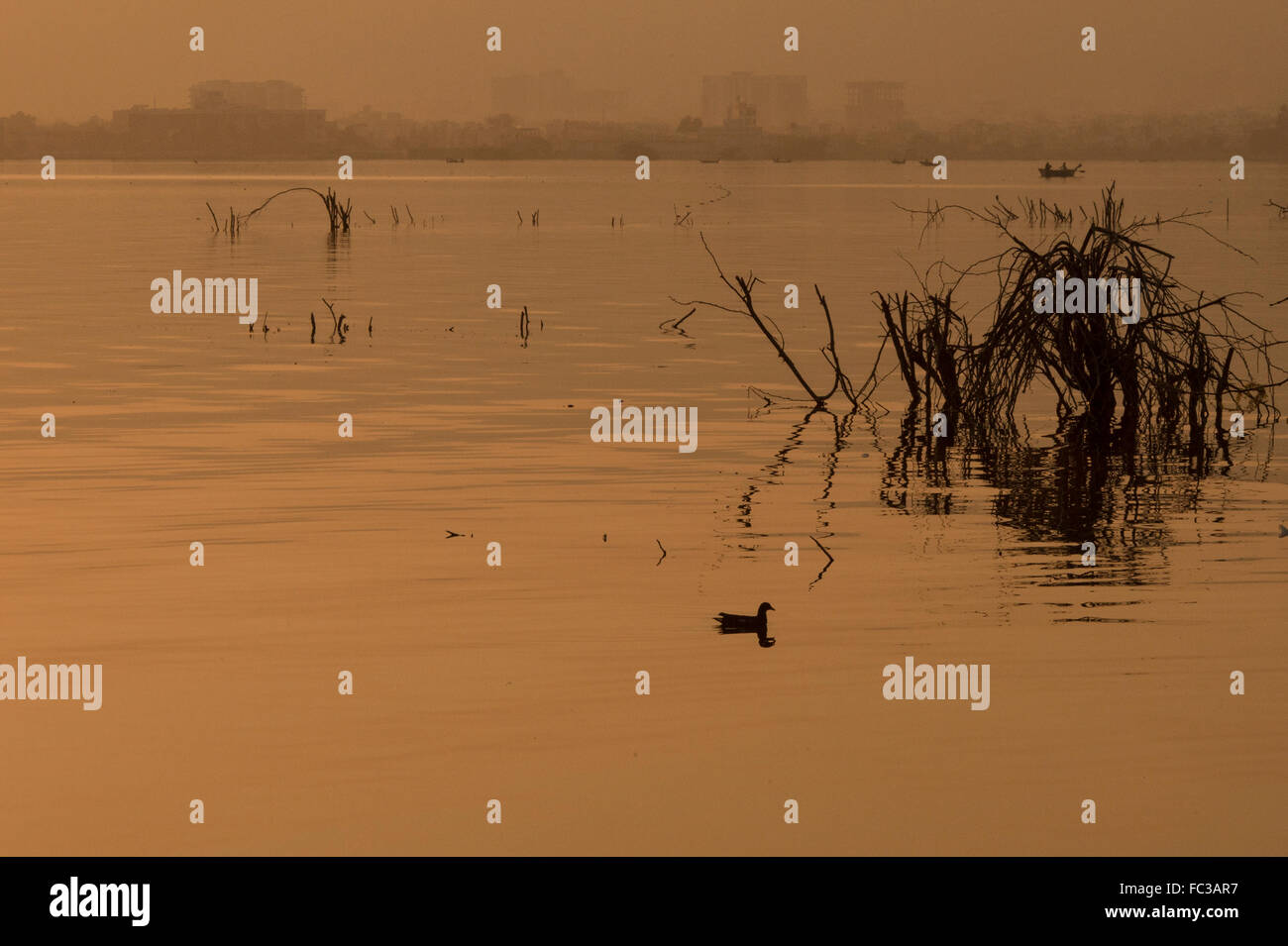 Tramonto Dorato a Ana Sagar lago in Ajmer, India con sagome di alberi e fisherman. Foto Stock