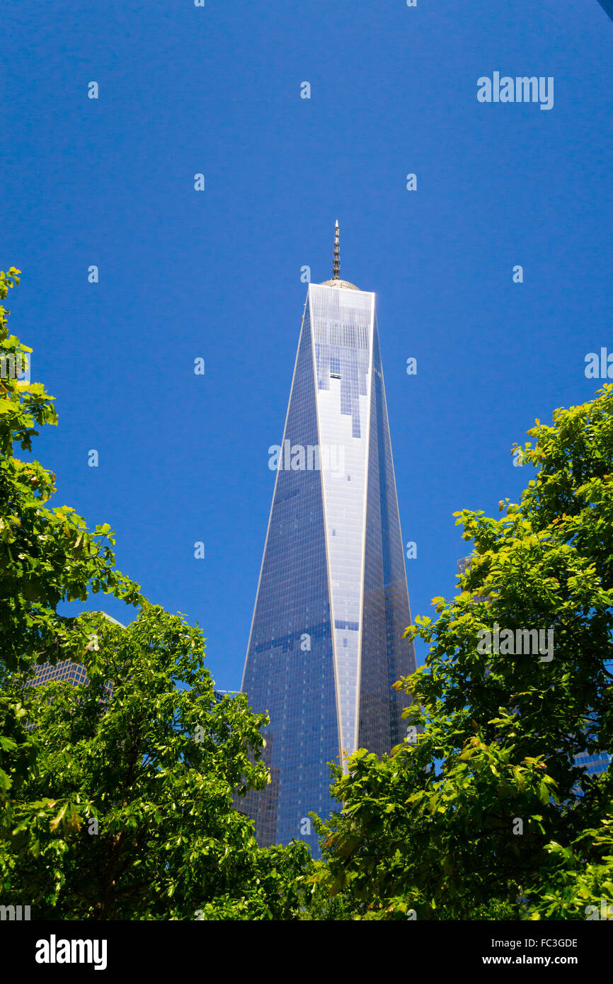 One World Trade Center edifico Foto Stock
