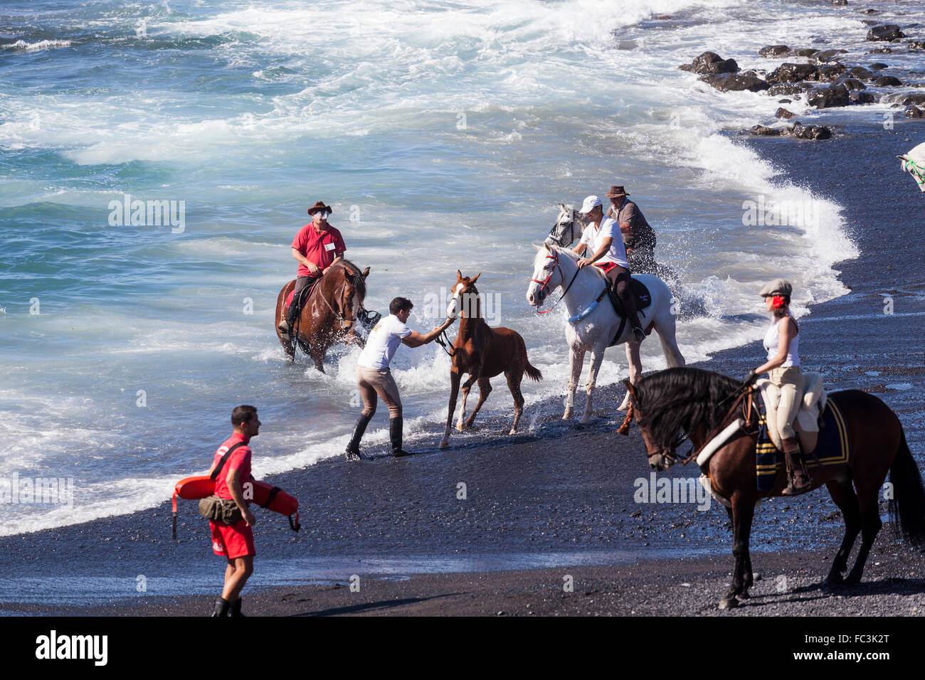 Costa Adeje, Tenerife, Isole Canarie. Il 20 gennaio 2016. Il rito annuale la balneazione dei cavalli nel mare di Playa La Enramada, La Caleta, come parte delle feste di San Sebastian. Ogni anno i cavalli hanno cavalcato nel surf e l'effigie di San Sebastian è portato giù alla spiaggia e gli animali vengono benedetti. Credito: Phil Crean/Alamy Live News. Foto Stock