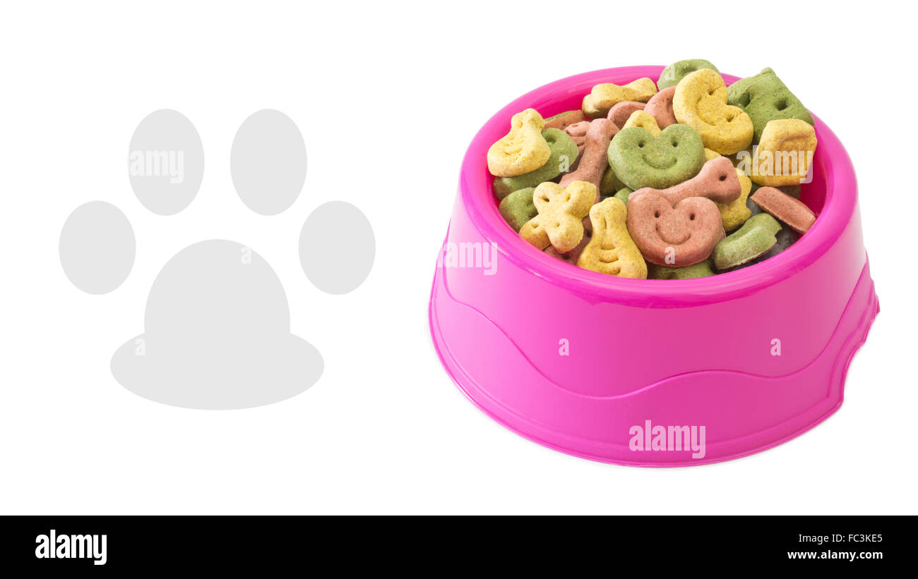 Cane multicolore biscotti Foto Stock