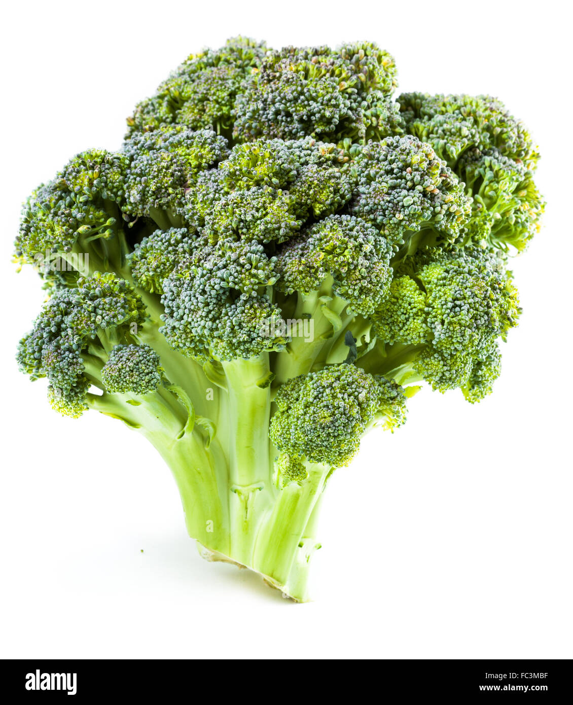 ╨íurd. Broccoli closeup Foto Stock