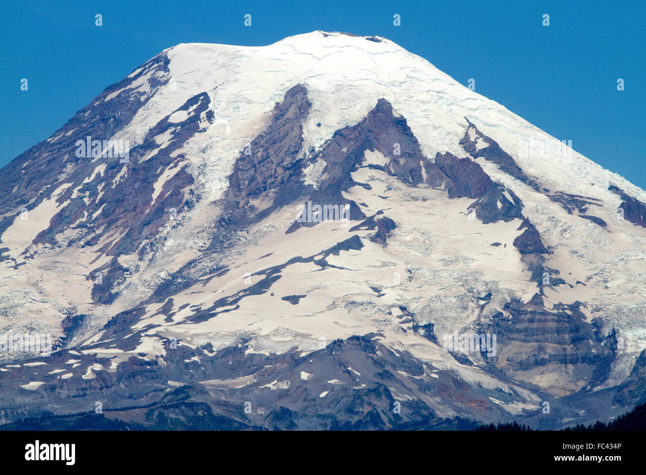Il monte Rainier nello stato di Washington, USA. Foto Stock