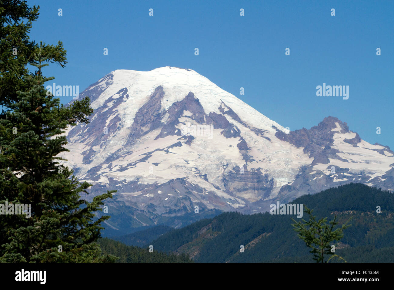 Il monte Rainier nello stato di Washington, USA. Foto Stock