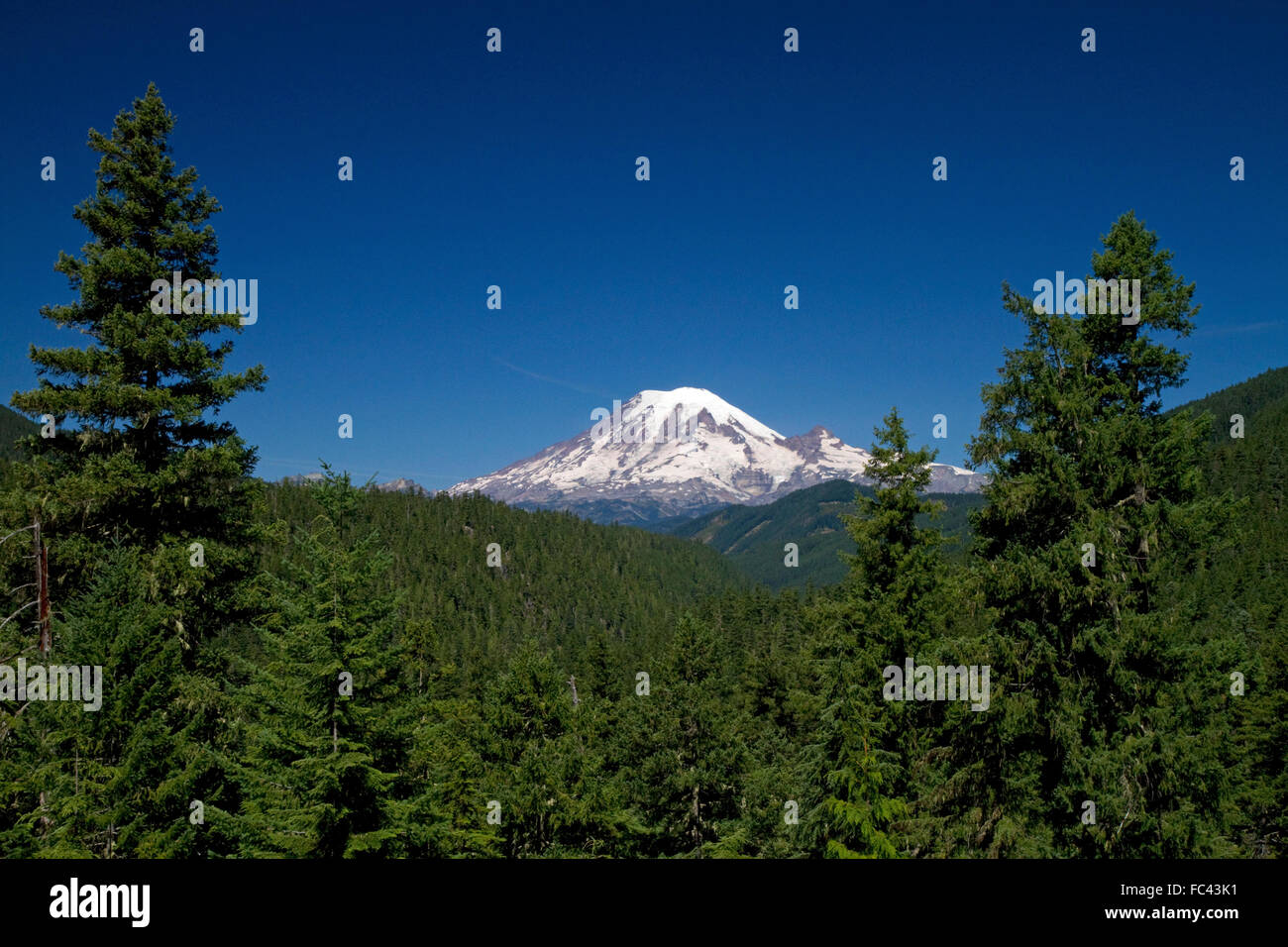 Il monte Rainier nello stato di Washington, USA. Foto Stock