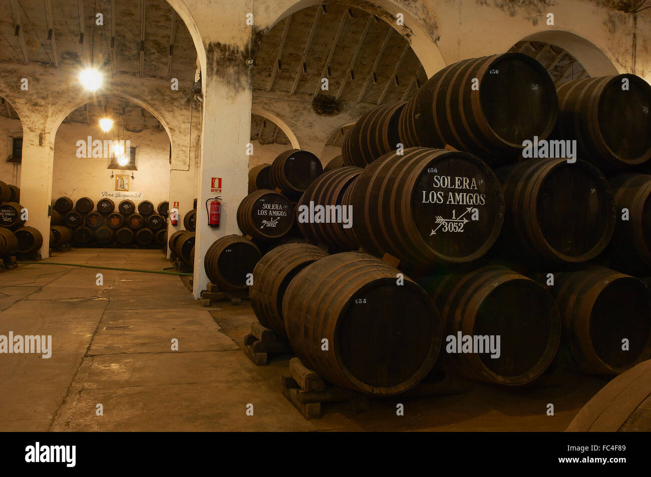 Montilla, Perez Barquero Cantina, Montilla-Moriles percorso vinicolo, Cordoba, Andalusia, Spagna Foto Stock