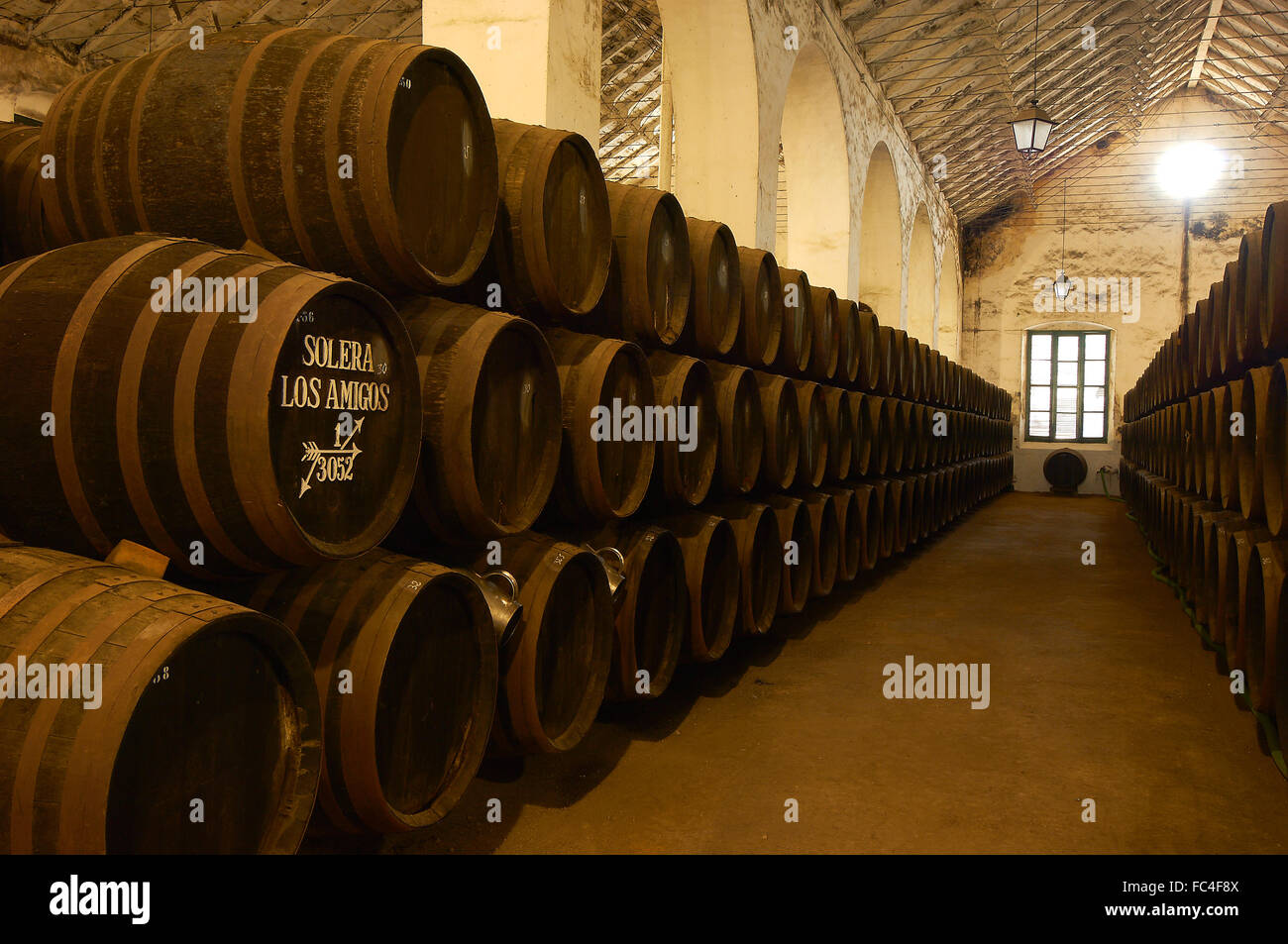 Montilla, Perez Barquero Cantina, Montilla-Moriles percorso vinicolo, Cordoba, Andalusia, Spagna Foto Stock