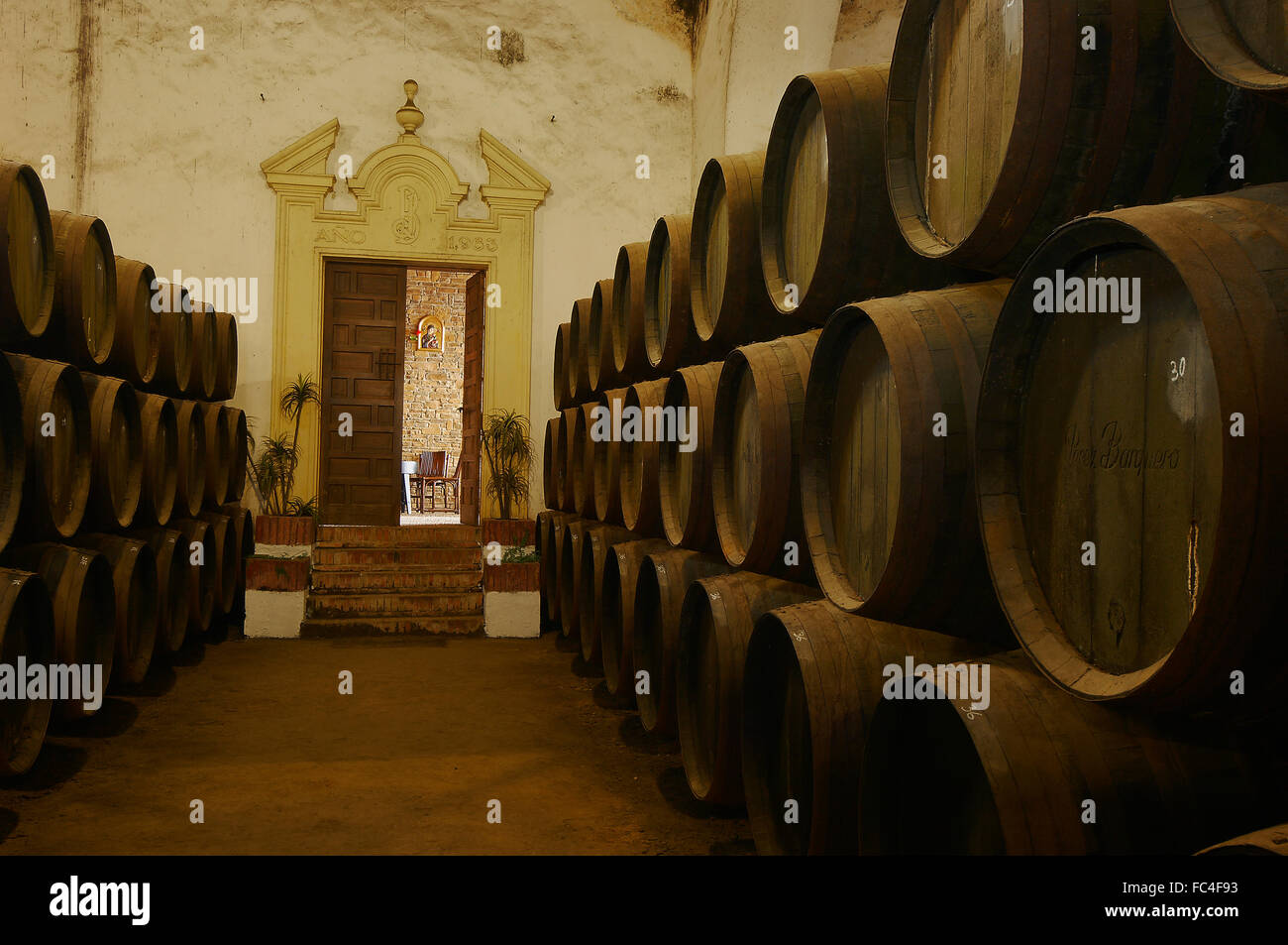 Montilla, Perez Barquero Cantina, Montilla-Moriles percorso vinicolo, Cordoba, Andalusia, Spagna Foto Stock