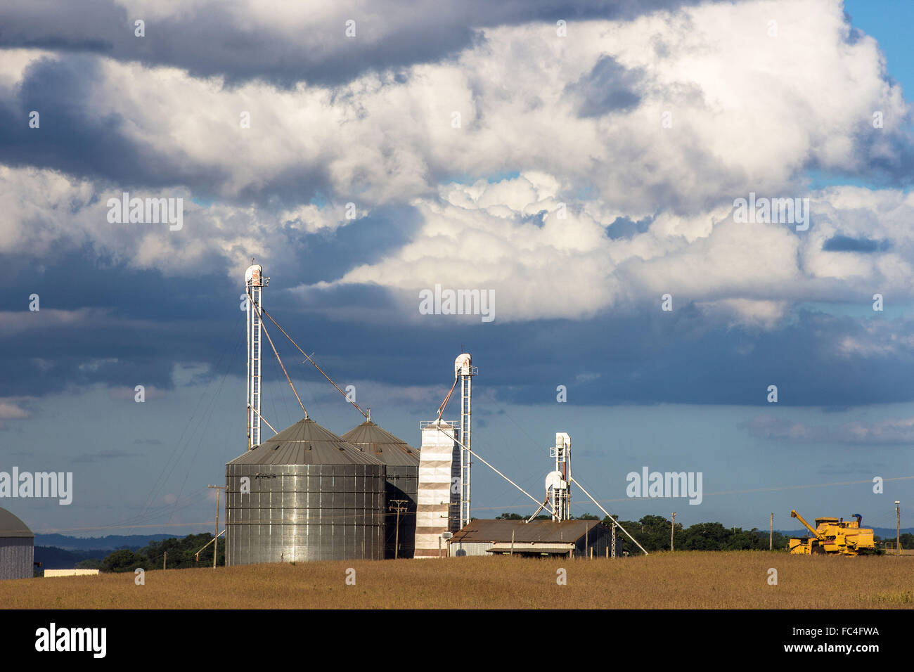 Combinare il raccolto di soia accanto al silo per immagazzinare grano Foto Stock