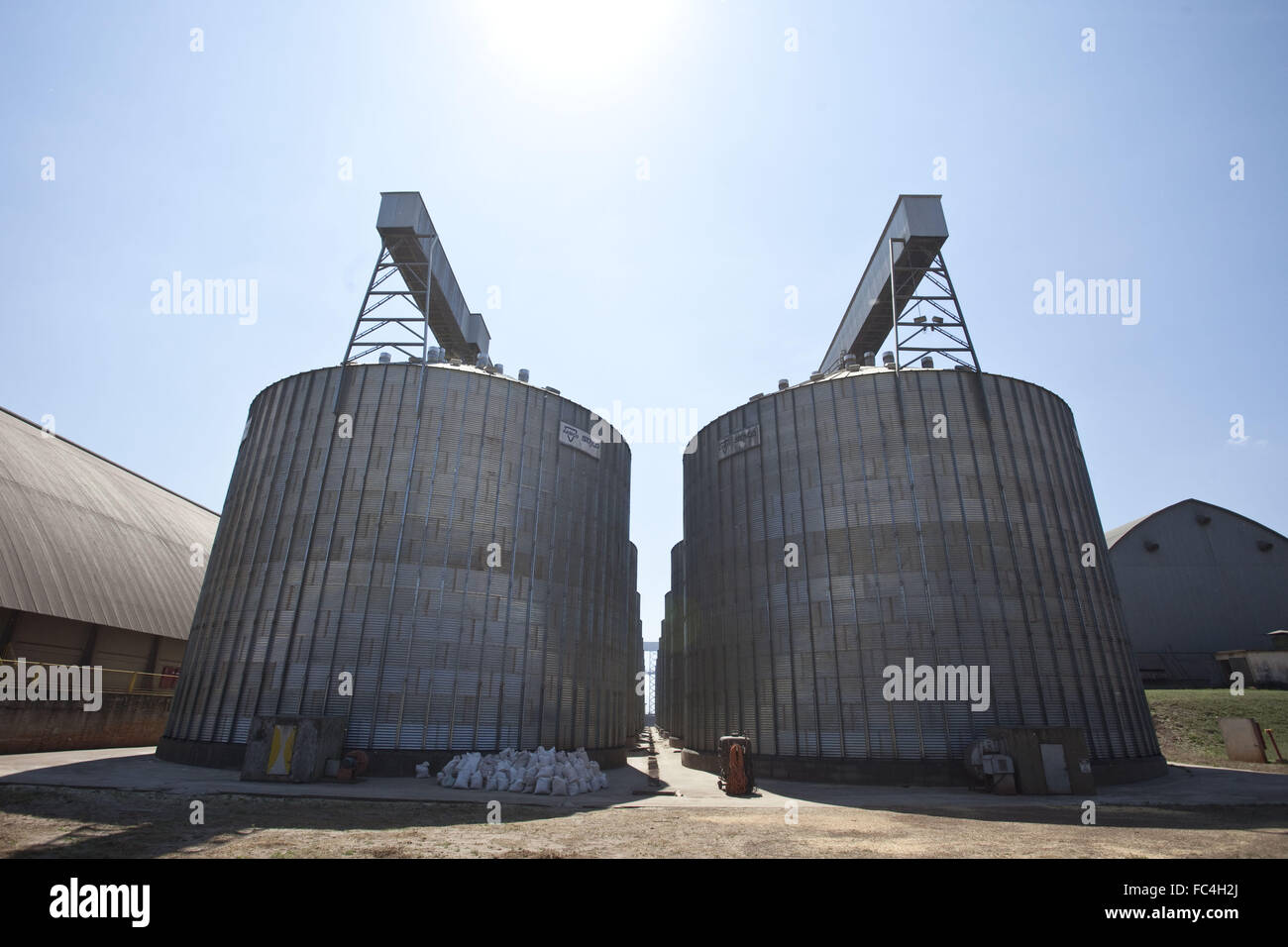 Silos di stoccaggio, - granella di mais, di soia e di frumento - una cooperativa city Foto Stock
