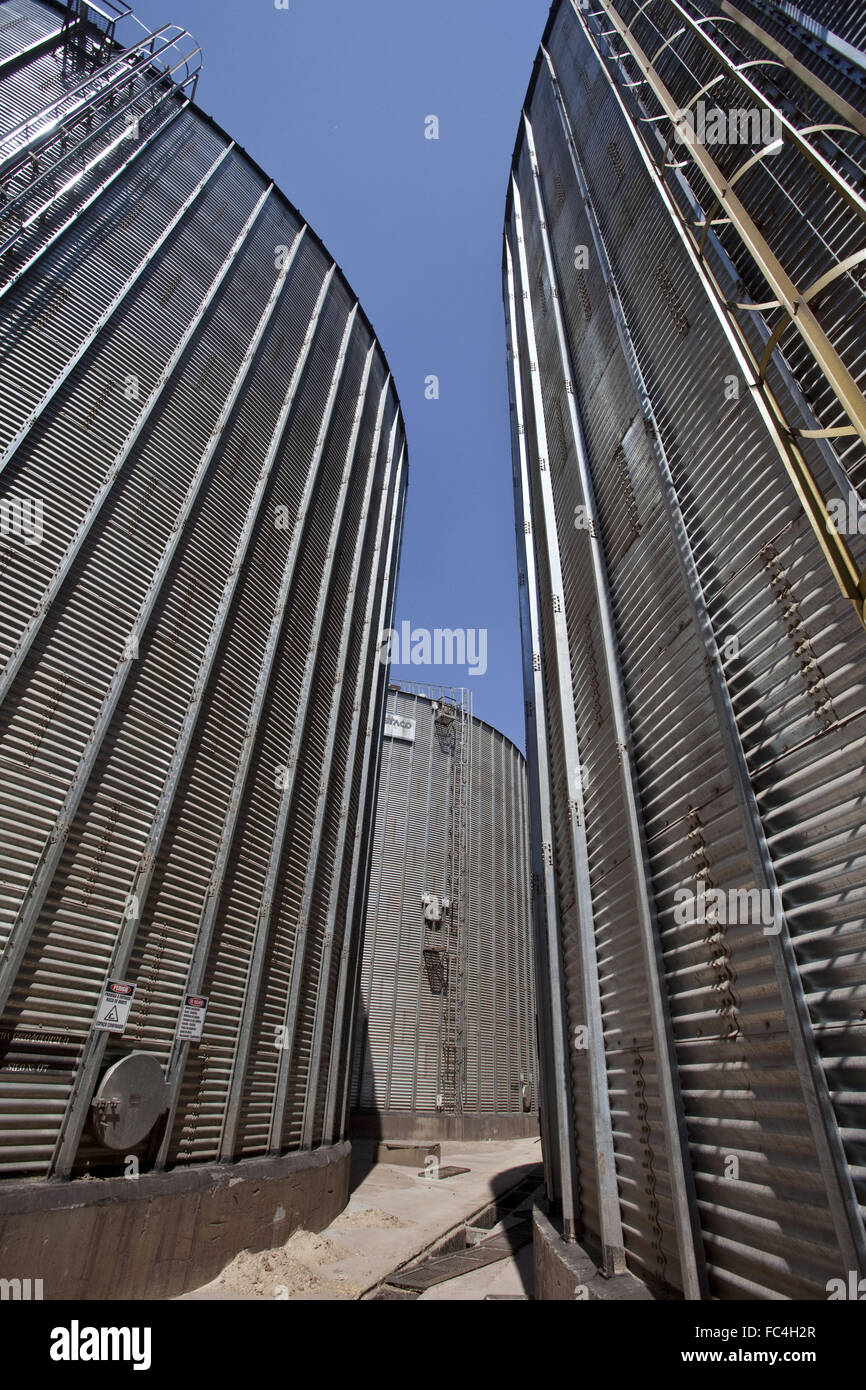 Silos di stoccaggio, - granella di mais, di soia e di frumento - una cooperativa city Foto Stock