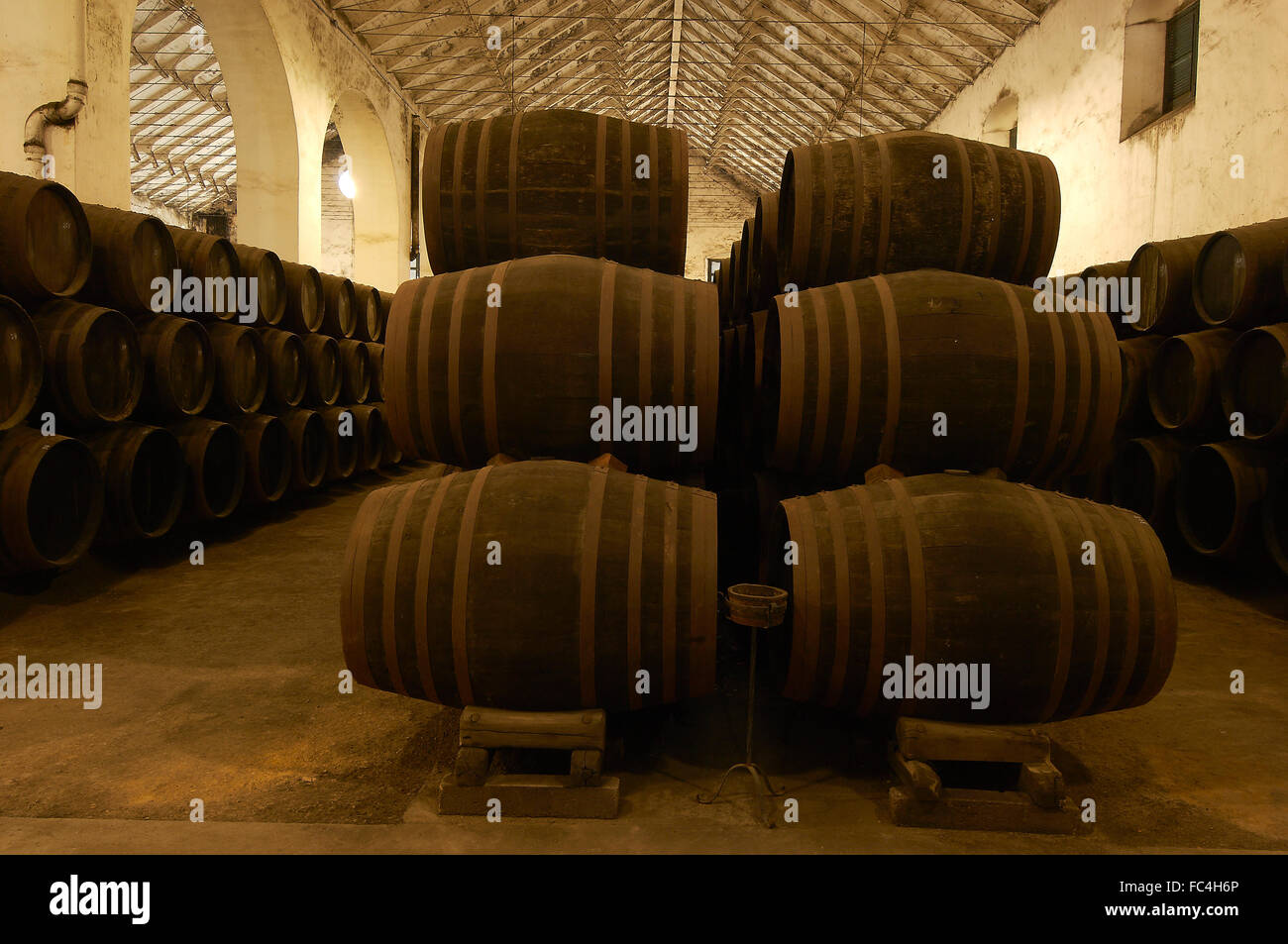 Montilla, Perez Barquero Cantina, Montilla-Moriles percorso vinicolo, Cordoba, Andalusia, Spagna Foto Stock