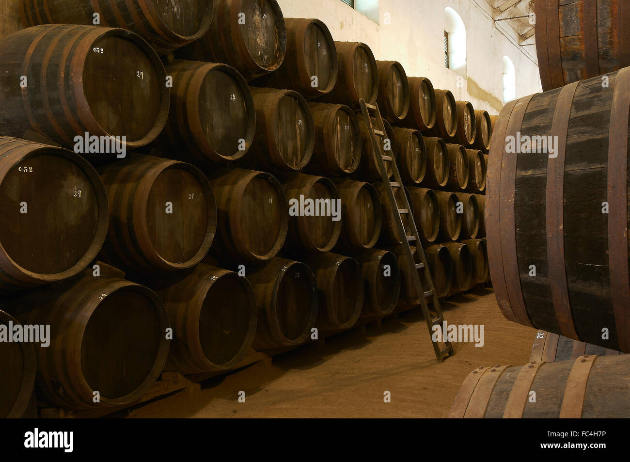 Montilla, Perez Barquero Cantina, Montilla-Moriles percorso vinicolo, Cordoba, Andalusia, Spagna Foto Stock