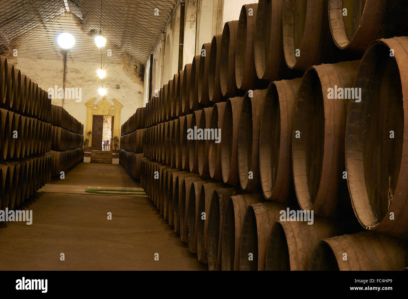 Montilla, Perez Barquero Cantina, Montilla-Moriles percorso vinicolo, Cordoba, Andalusia, Spagna Foto Stock