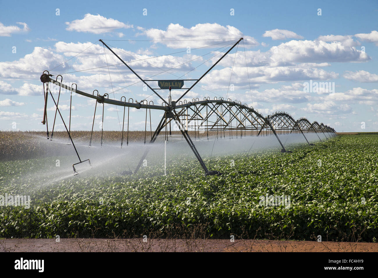 Di irrigazione con centro sistema di articolazione per la piantagione di soia nella savana rurale regione Foto Stock