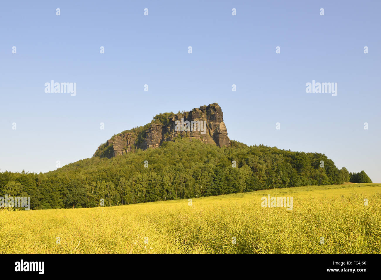 Lilienstein Foto Stock