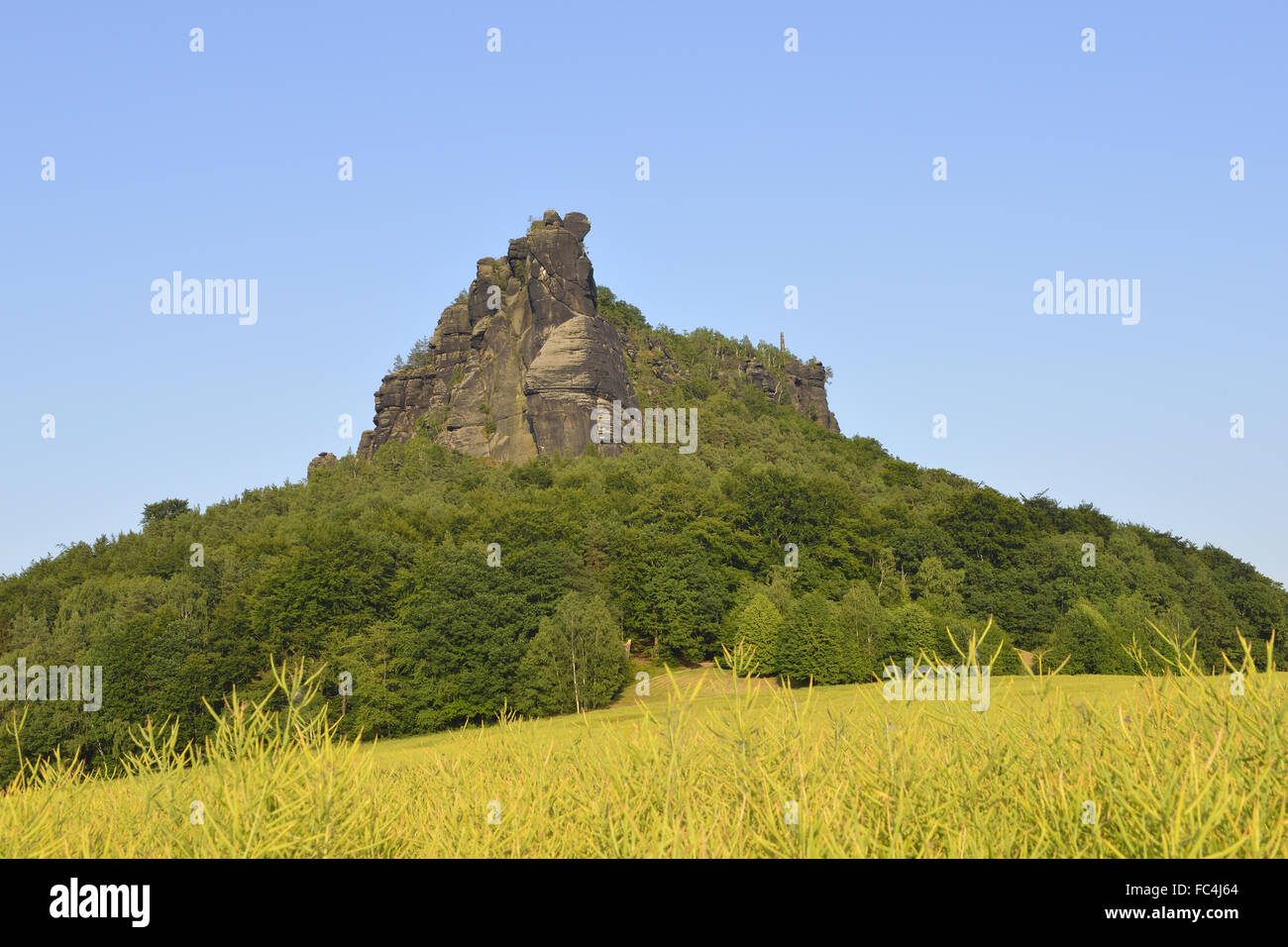 Lilienstein Foto Stock