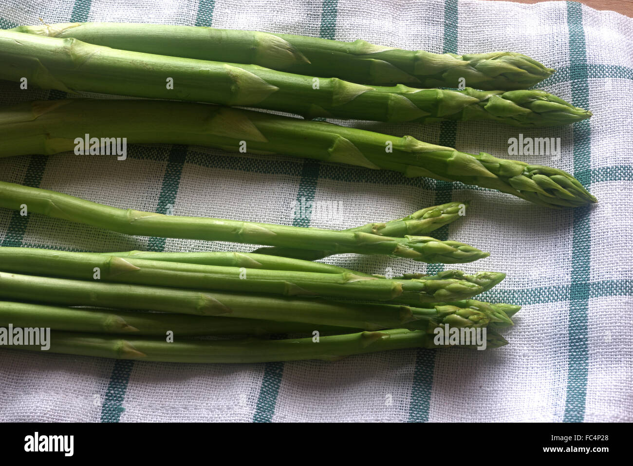 Gli asparagi di origine selvatica Foto Stock