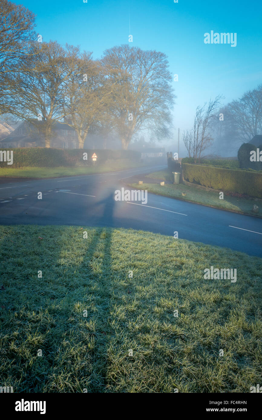 Burley Woodhead, nello Yorkshire, Regno Unito. Il 20 gennaio, 2016. Brocken spettri si trovano di solito in aree di alta massa come colline e montagne. Ma questa mattina il sole era ad angolo retto per vedere la pressione atmosferica alone brillante fenomeno nel villaggio di Burley in Wharfedale, Yorkshire. Credito: Rebecca Cole/Alamy Live News Foto Stock