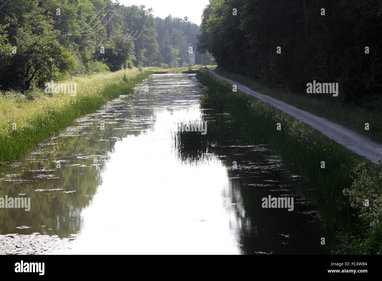 Ludwig-Donau Canal Foto Stock