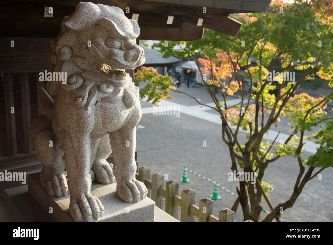 Lion statua a Sakurayama Hachiman-gū Santuario a Takayama Giappone con la caduta delle foglie Foto Stock