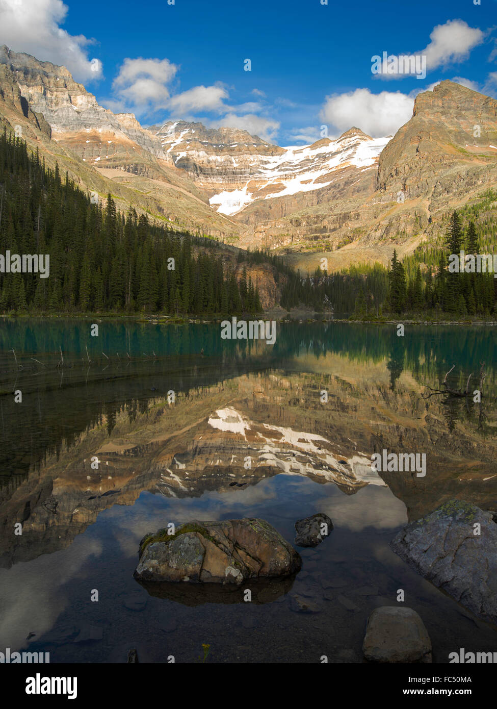 A basso angolo di visione del bellissimo lago remoto O'Hara e yukness mountain in background, nel Parco Nazionale di Yoho Foto Stock