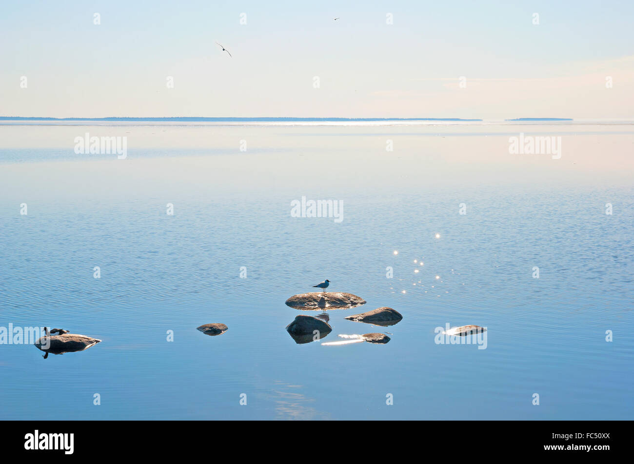 La mattina presto sul Lago Onega in Petrozavodsk. La Carelia. La Russia Foto Stock