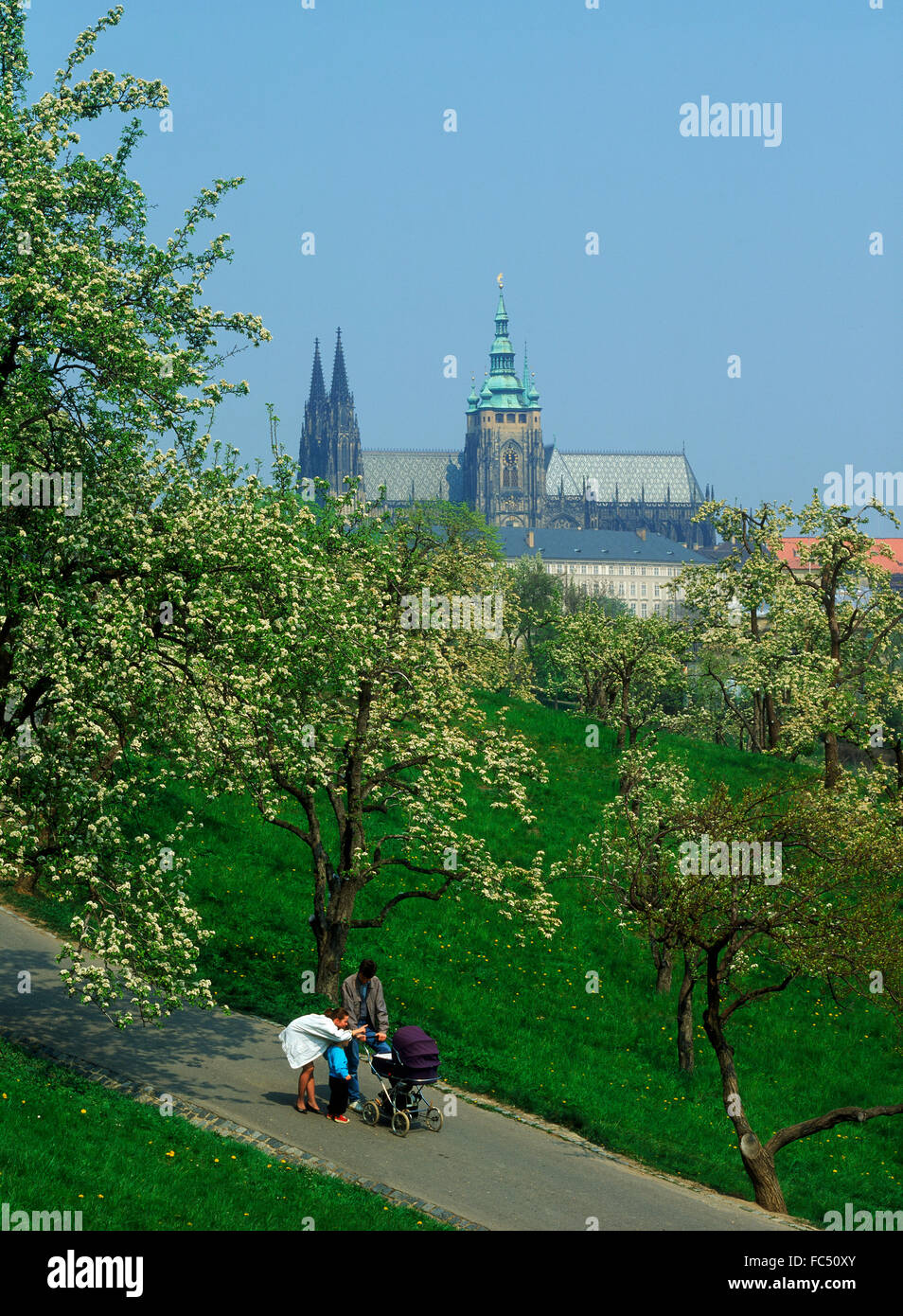La famiglia sul marciapiede tra i meli in fiore su Petrin Hill a Praga con San Vitu s cattedrale e castello di Hradcany Foto Stock