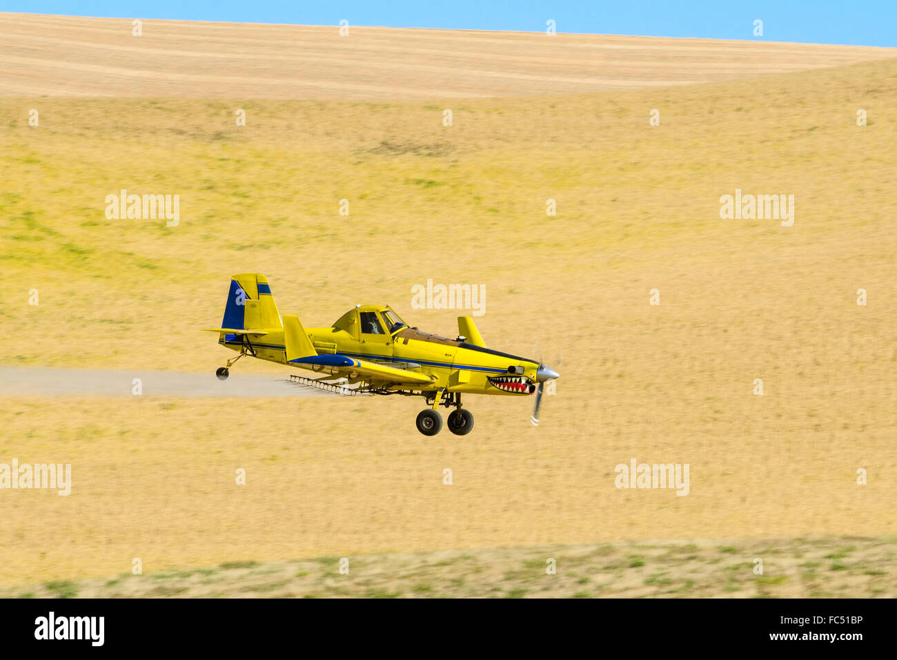 Crop duster spruzzatura di erbicida su campi di ceci in Palouse regione orientale di Washington Foto Stock