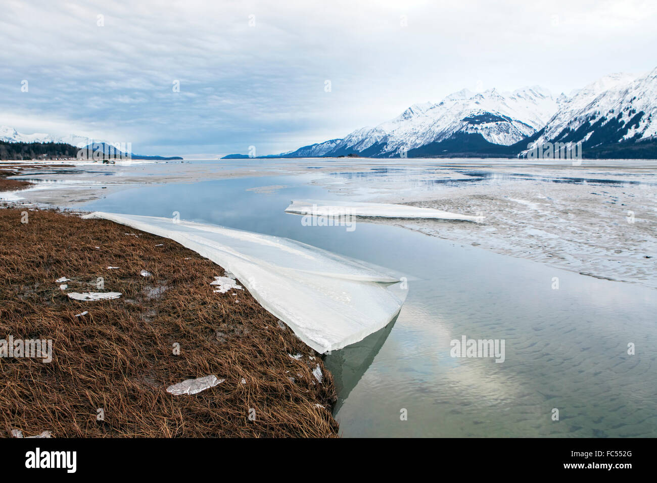 La fusione di ghiaccio sul fiume Chilkat vicino Haines Alaska in inverno. Foto Stock