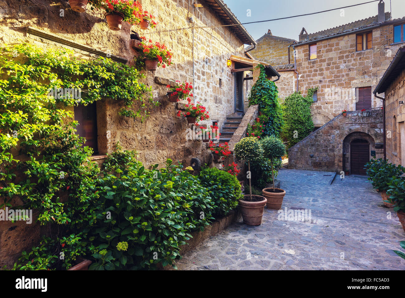 Scale con fiori colorati in una Toscana città vecchia Foto Stock